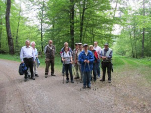 Maiwanderung im Wald bei Hochtänn
